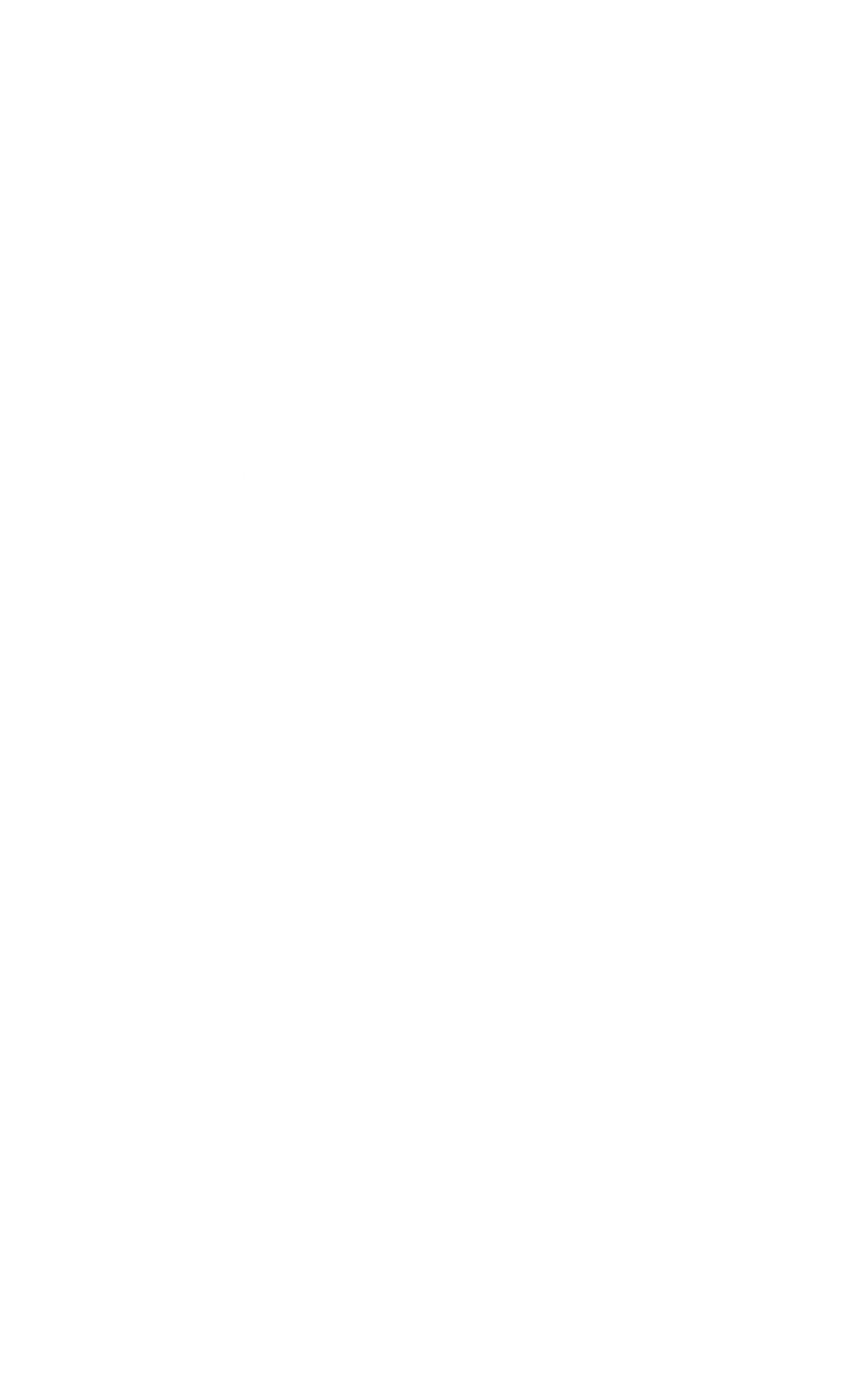 campfires smores bugs explore black